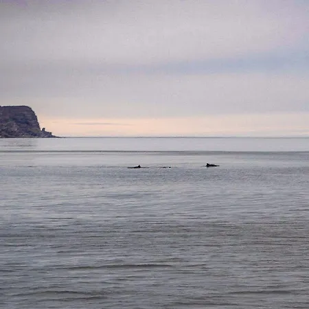 מלון Brygge - Arctic 3*