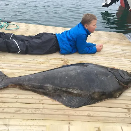 מלון Brygge - Arctic Båtsfjord