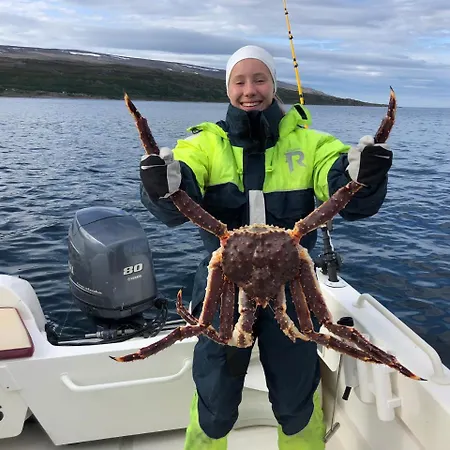 Brygge - Arctic מלון