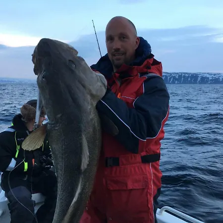 Brygge - Arctic מלון